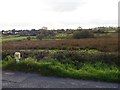 Wetland on the West side of Dundalk Road