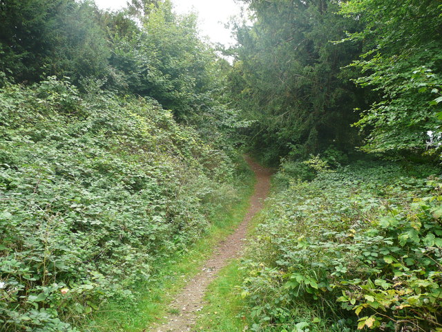 Path in the ditch around the iron-Age hillfort, Wandlebury
