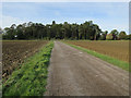 Entrance track for Gamlingay Wood