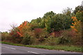 Autumn leaves on Churchill Way, Andover