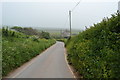 Narrow Devon lane