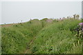 Footpath heading inland