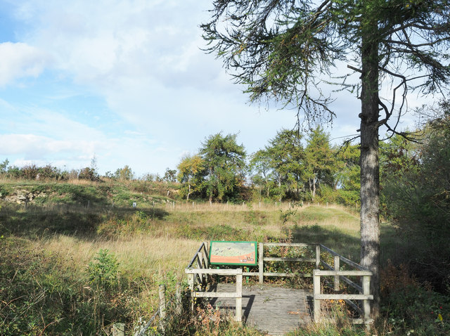 Viewing platform at Thrislington National Nature Reserve