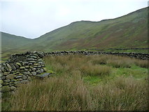 NY4314 : Interior and exterior walling, complex sheepfold, Ramps Gill by Christine Johnstone