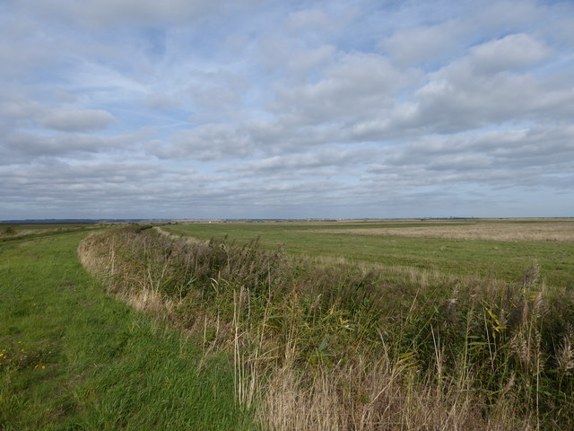 Path across St Mary's Marshes