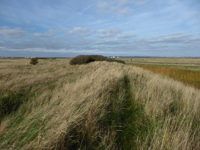 Manor Way across the marshes