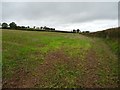 Field near Pengenffordd