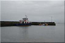 Q8451 : Carrigaholt Harbour Wall by N Chadwick