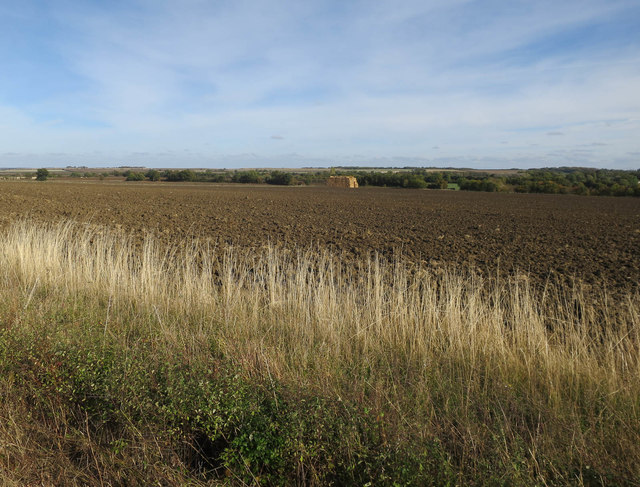 Field near Elsworth