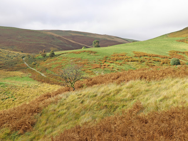 Hill pasture by Cwm Doethie Fach in Ceredigion