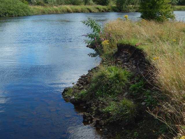 River bank with bricks and clinker