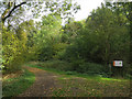 Entrance to Gamlingay Wood