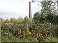 Chimney of derelict flax mill at Cavan TD, Rathfriland