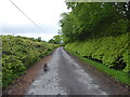 Estate road, Islay House Home Farm