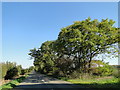 B1145 road near Pightle Farm