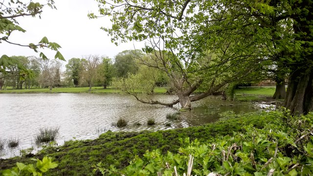 Pond by Drax Abbey Farm © Chris Morgan :: Geograph Britain and Ireland