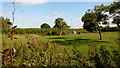 Paddock with old orchard trees