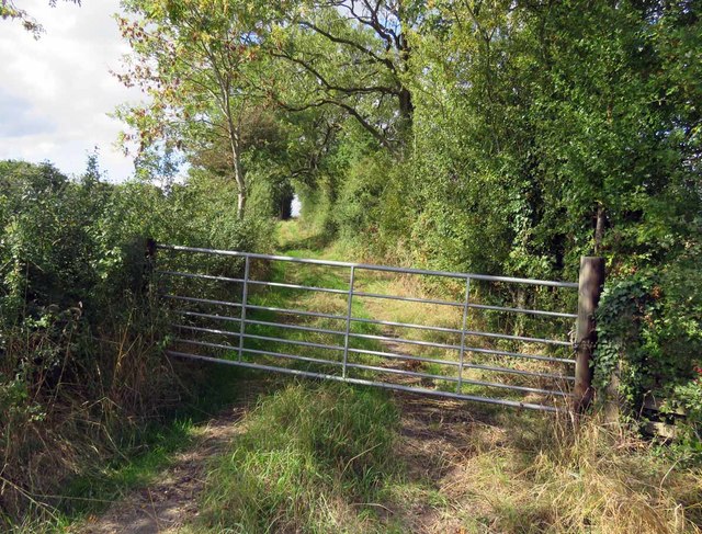 Gate to farm track from Bruntingthorpe Road