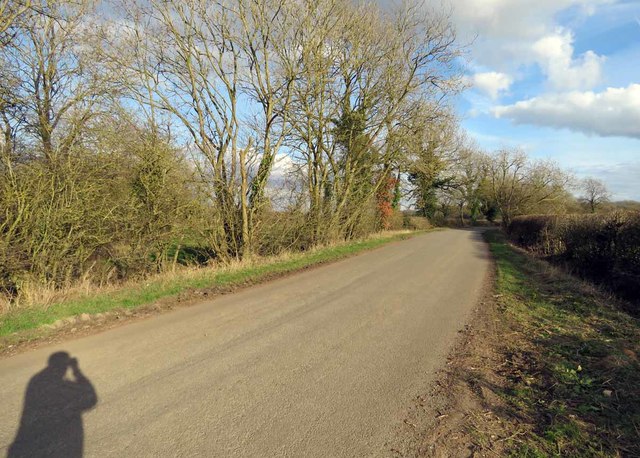Owston Wood Road towards Withcote