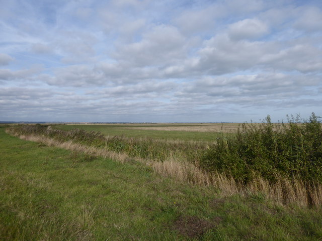 St Mary's Marshes