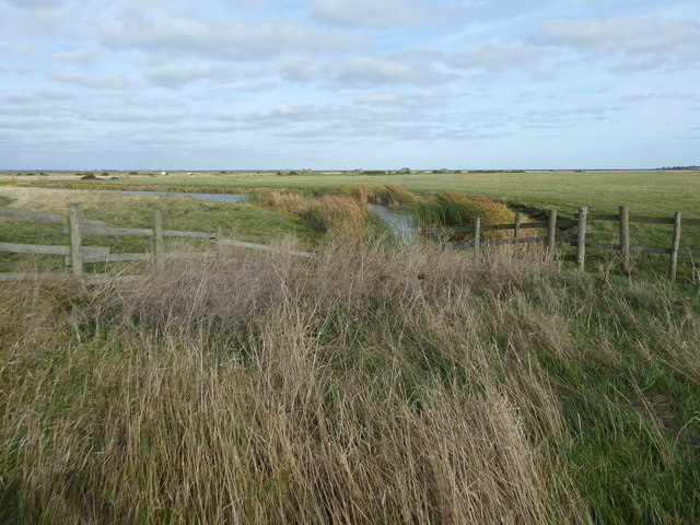 View across St Mary's Marshes