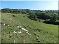 West face of the Mendips