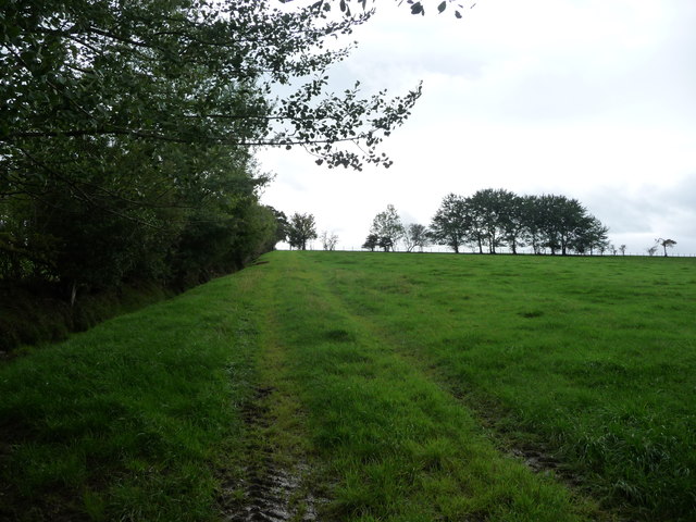Farm track along a field boundary, Bleatarn Common