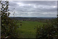 View Southwestwards from Macmillan Way (Quarr Lane)