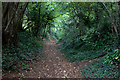 Woodland section of Macmillan Way (Quarr Lane)