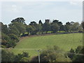 Church Pulerbatch viewed from near Wrentnall