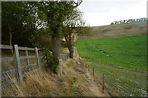 TA0676 : Yorkshire Wolds Way towards Stocking Dale by Ian S