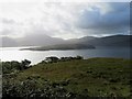 NM4739 : Pasture above Loch na Keal by Andrew Wood