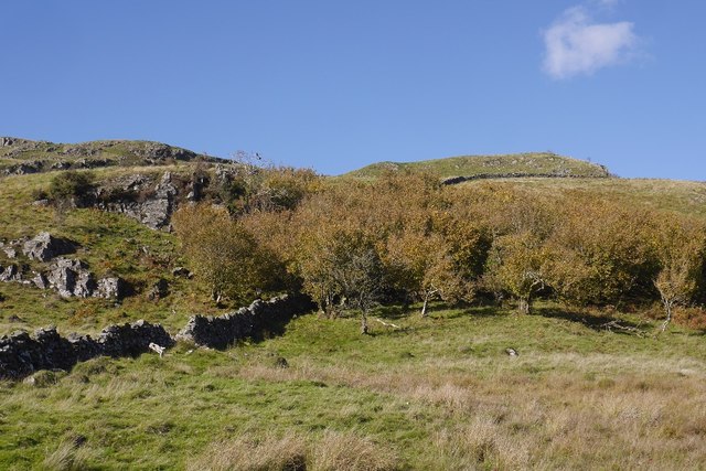 Slopes of Craigneston Hill
