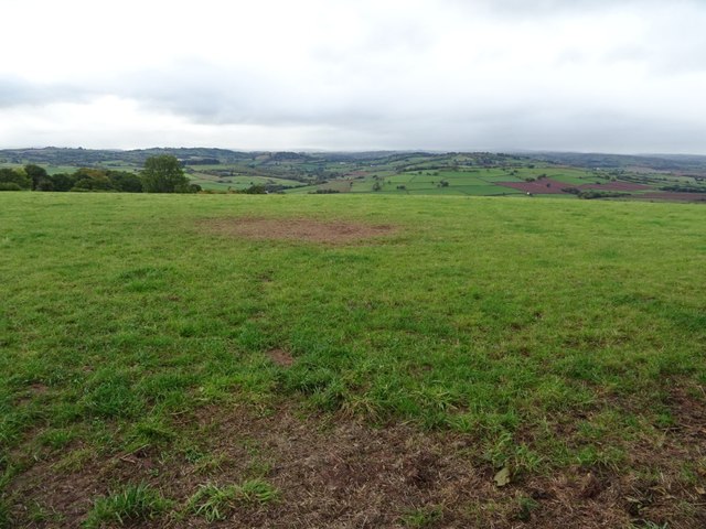 Farmland opposite Heol-y-cefn