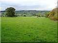 Farmland in the Llwnfi valley