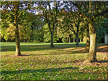 SO9095 : Autumn in Muchall Park, Penn, Wolverhampton by Roger  D Kidd