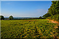 SX7995 : Mid Devon : Grassy Field by Lewis Clarke