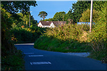 SX8096 : Mid Devon : Country Lane by Lewis Clarke