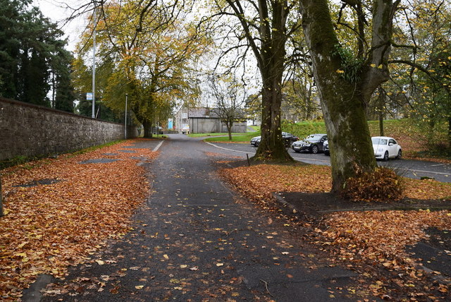 Fallen leaves, T & F grounds, Omagh