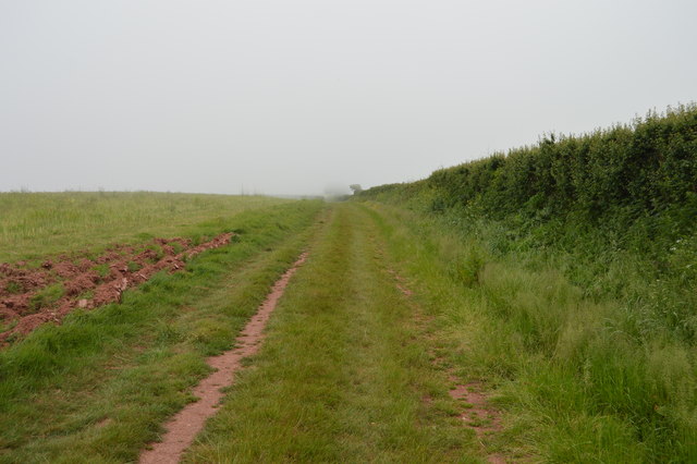 Path along hedge