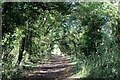 Essex Way approaching Stagden Cross from the South