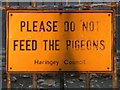 PLEASE DO NOT FEED THE PIGEONS