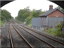 W8273 : Carrigtwohill 1st railway station (site), County Cork by Nigel Thompson