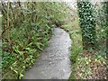 River Stor: Downstream of the Chantry Lane bridge