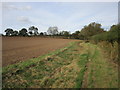 SK6766 : Bridleway to Laxton Common by Jonathan Thacker