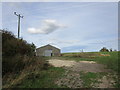 Isolated shed between Wellow and Ompton