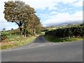 Tree-lined unnamed lane linking the Kinghill Road with the B8 (Hilltown Road)