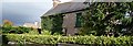 Boarded up farmhouse on the Kinghill Road