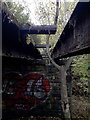 Shipley: view along a dangerous bridge