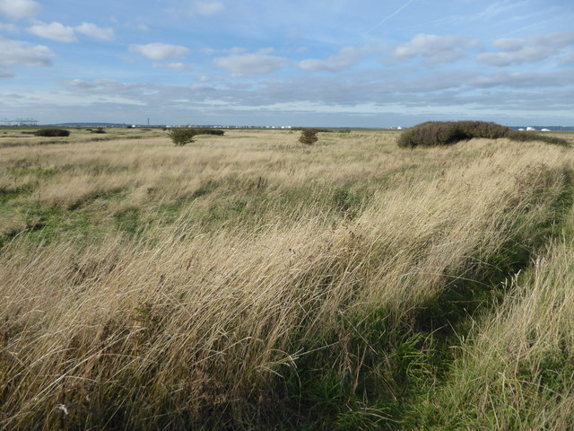 Looking across the marshes from Manor Way
